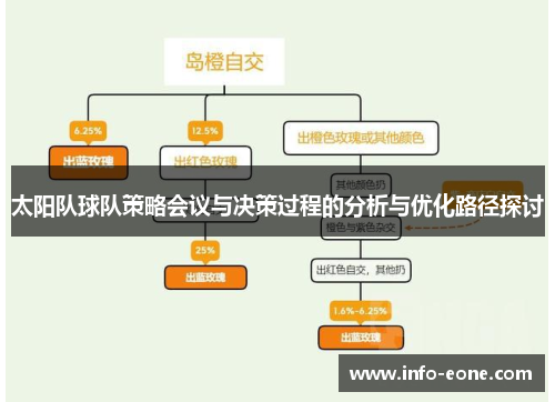 太阳队球队策略会议与决策过程的分析与优化路径探讨
