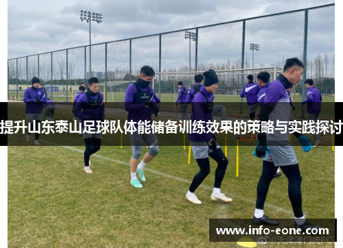 提升山东泰山足球队体能储备训练效果的策略与实践探讨