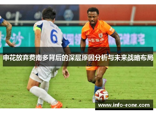 申花放弃费南多背后的深层原因分析与未来战略布局