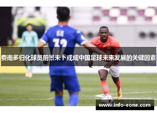 费南多归化球员前景未卜或成中国足球未来发展的关键因素