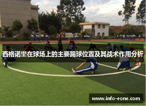 西格诺里在球场上的主要踢球位置及其战术作用分析