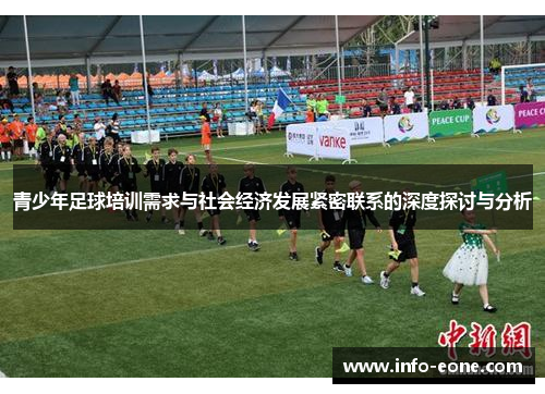 青少年足球培训需求与社会经济发展紧密联系的深度探讨与分析